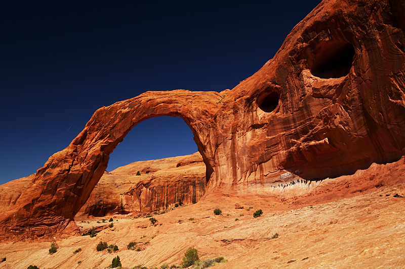 Eyes on the Arch