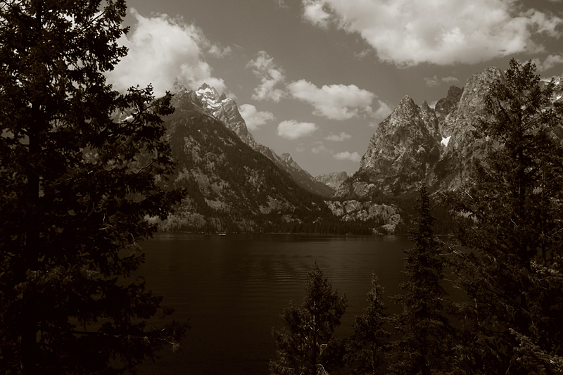 Teton Summer