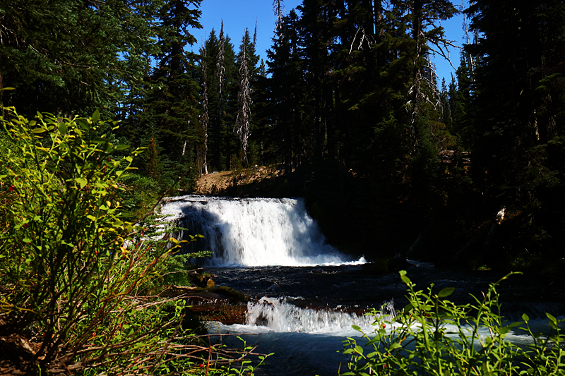 Fallen Creek Waterfall