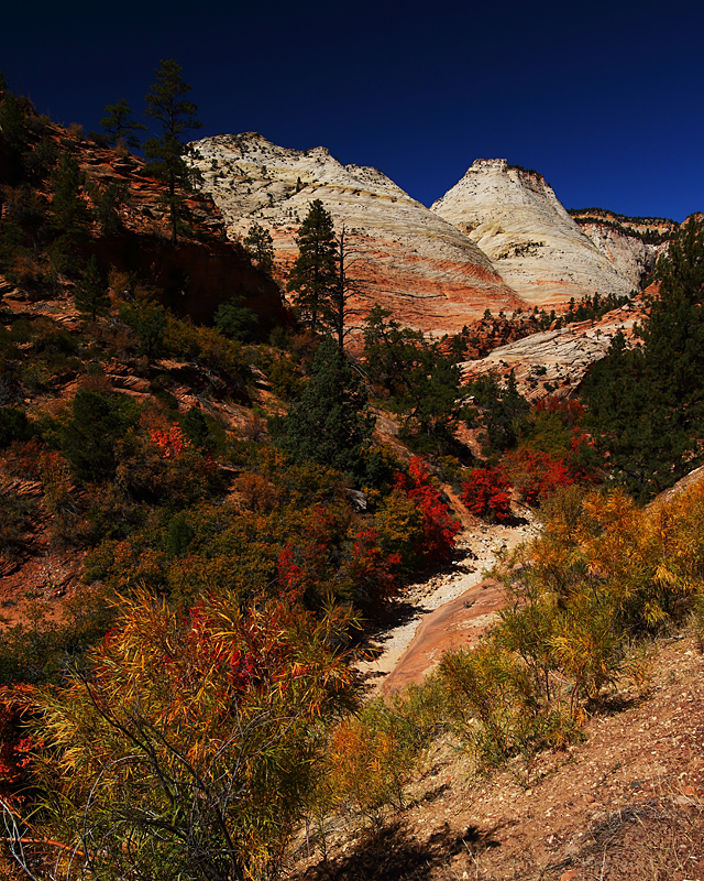 Autumn's First Color in Zion