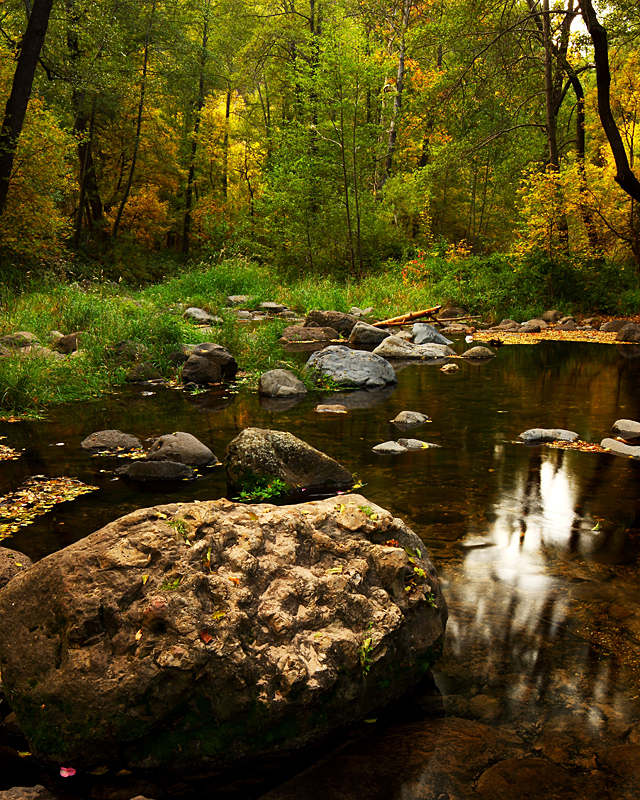 Oak Creek Autumn