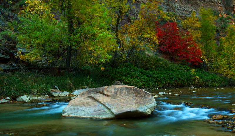 Autumn Flow