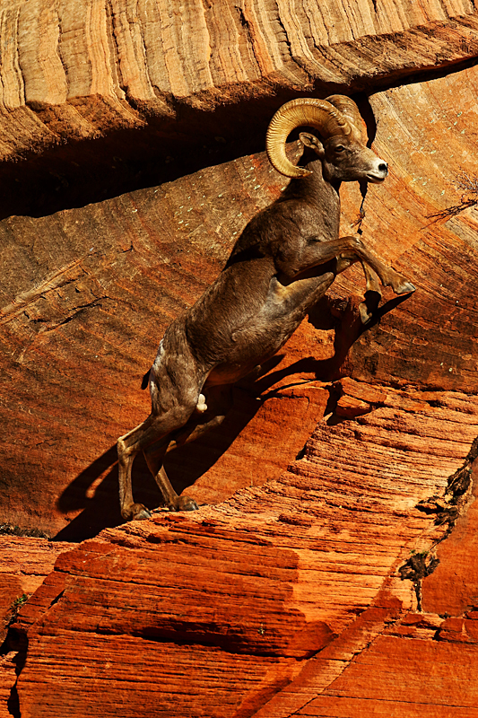 Climbing the High Rock