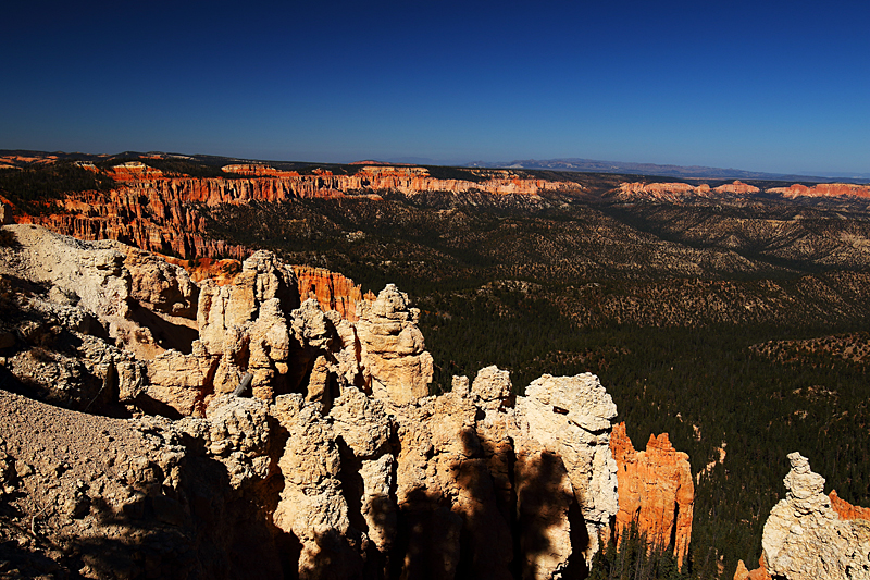 The Big View of Bryce