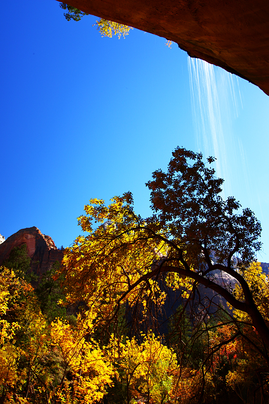 Zion Autumn Sky