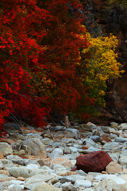 Lone Red Rock