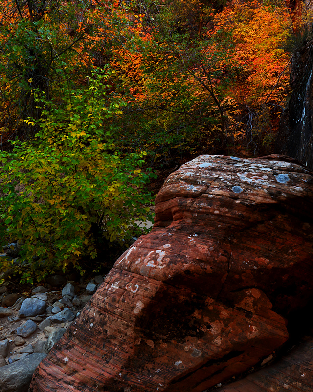 Alter of Canyon Color