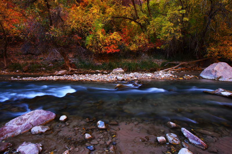 River Run of Autumn