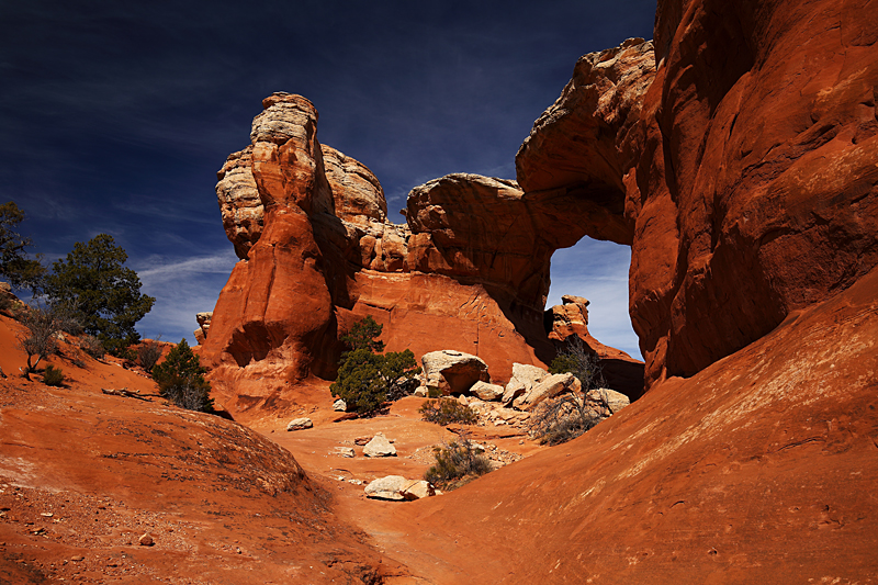 Trail Through the Arch