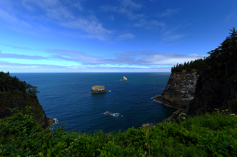 The Blue and Green of the Oregon Coast