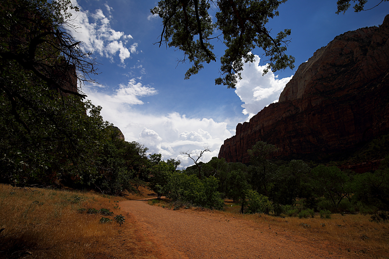Monsoon is Coming to Zion