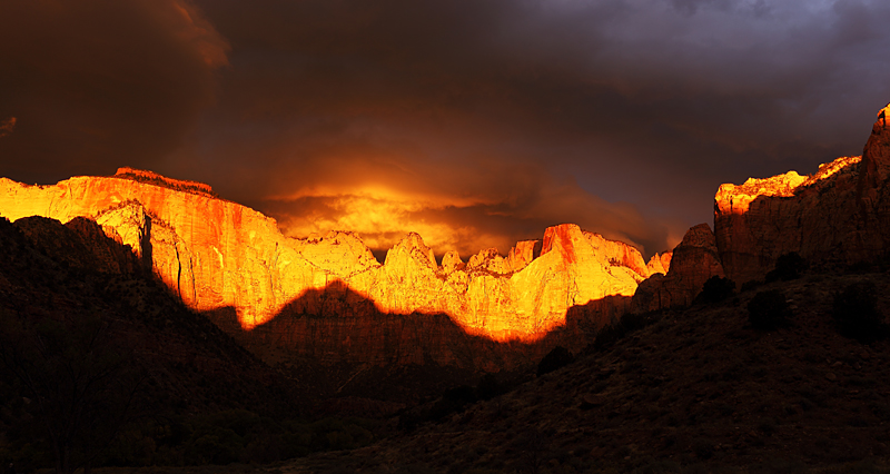 The Golden Phase of the Morning Light