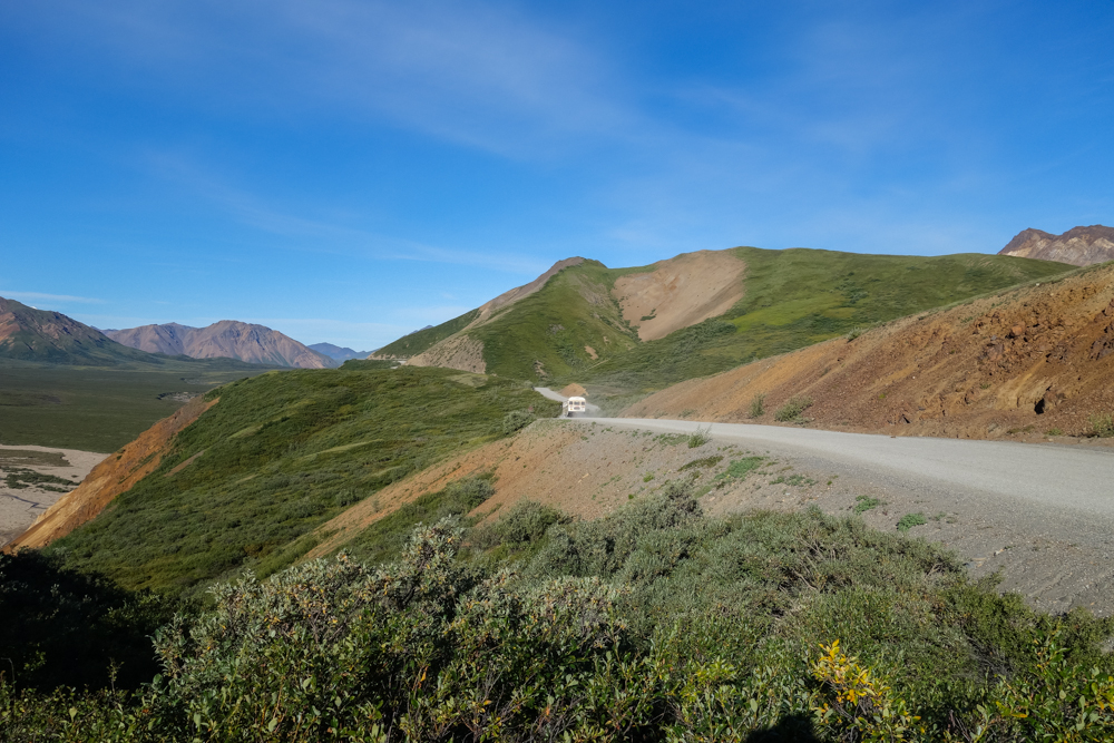 Denali-20.jpg