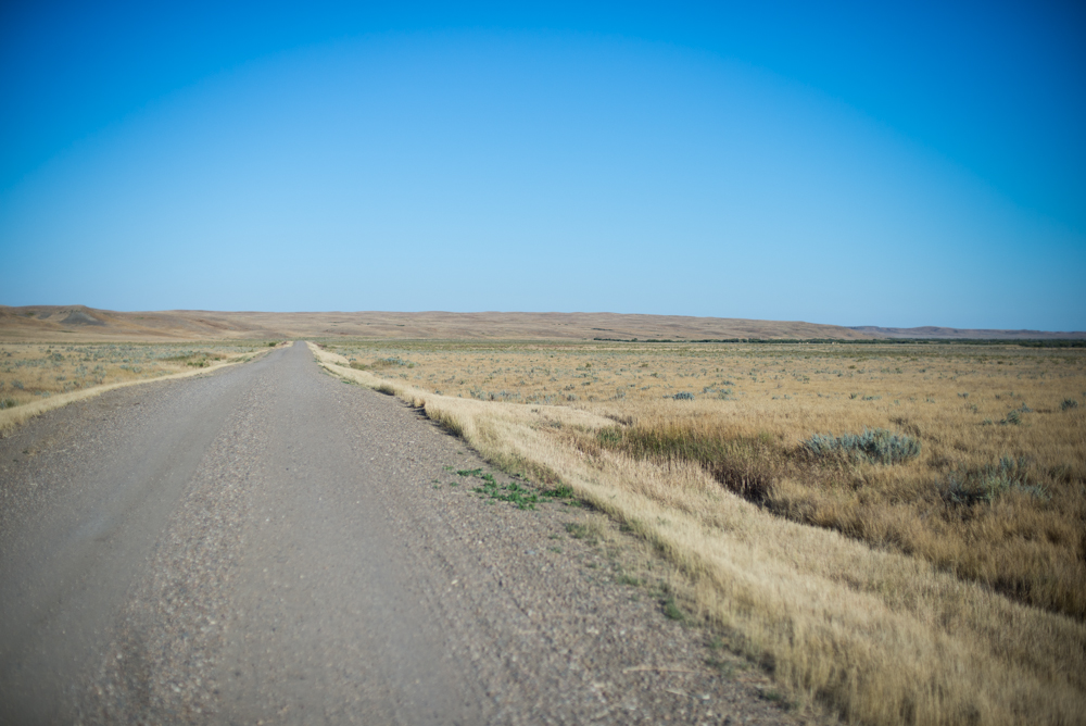 Grasslands-31.jpg