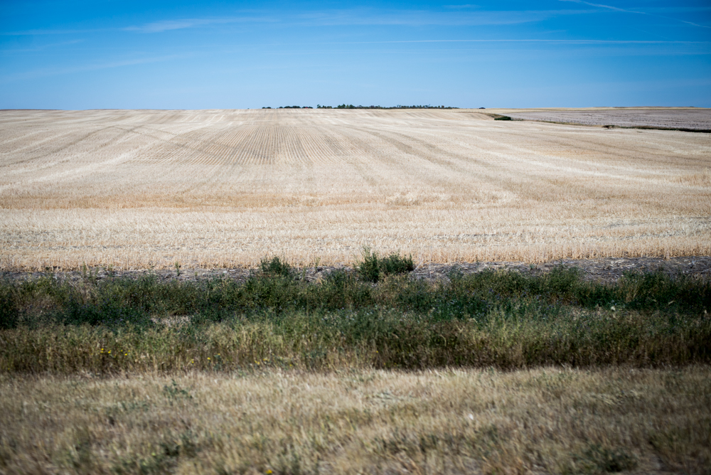 Grasslands-8.jpg