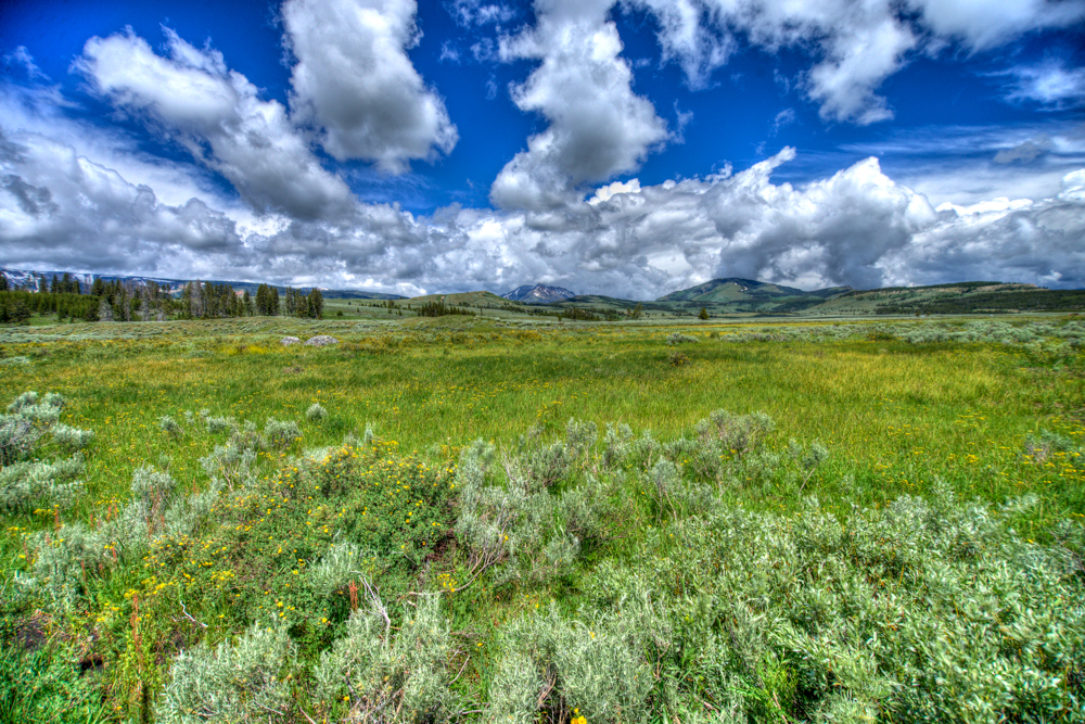Yellowstone-7.jpg