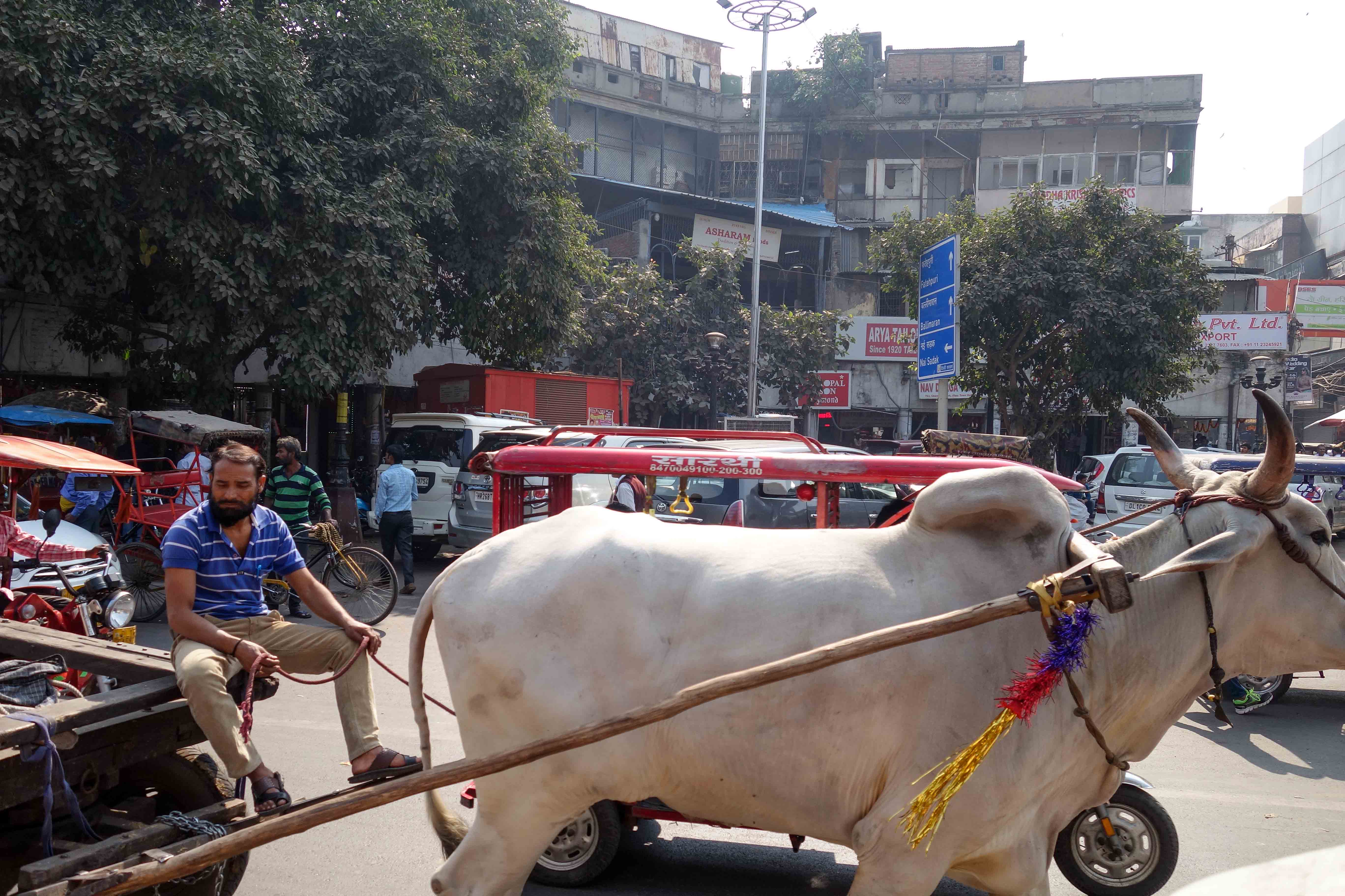 Delhi-22.jpg