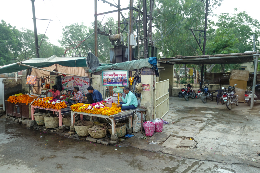 Mandawa-40.jpg