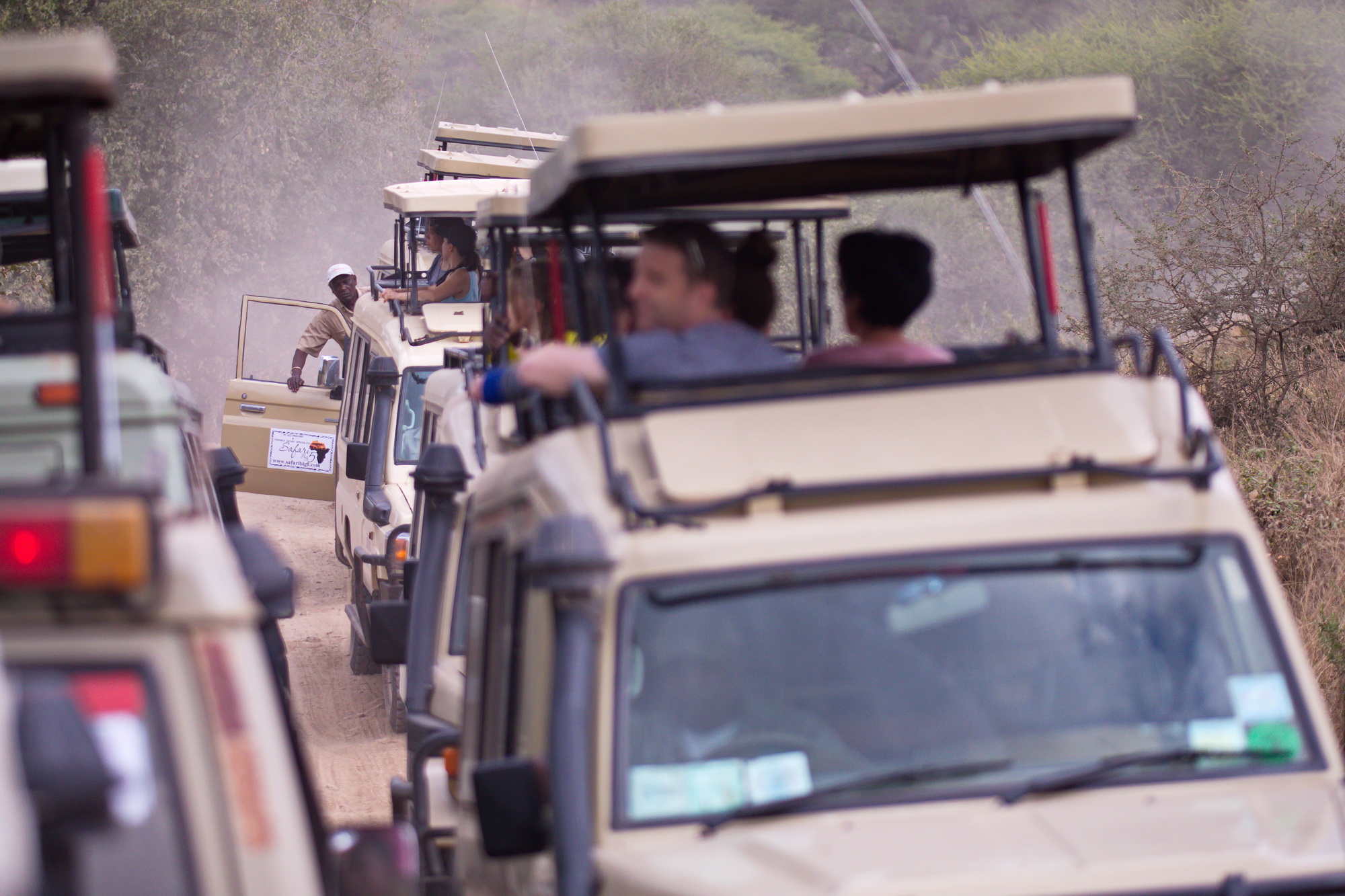 Safari Trucks flocking to a kill