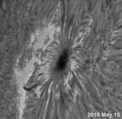 Sunspot group tracked for 8 days as sun rotates