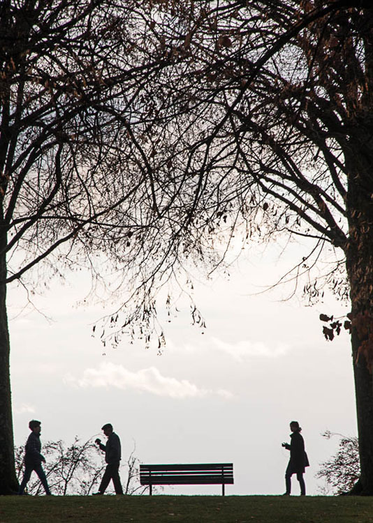 Promenade au parc