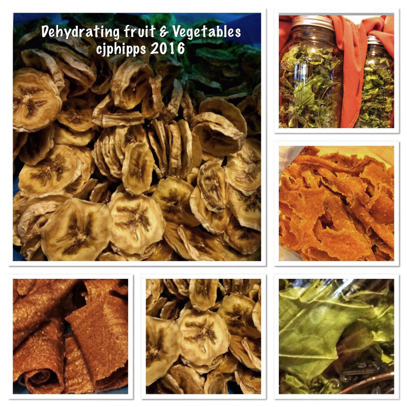 Dehydrated foods