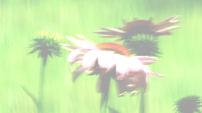 BANNER.jpg