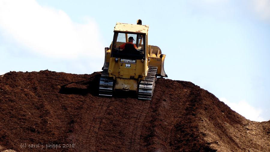 Song Title ~ If I had a Bulldozer