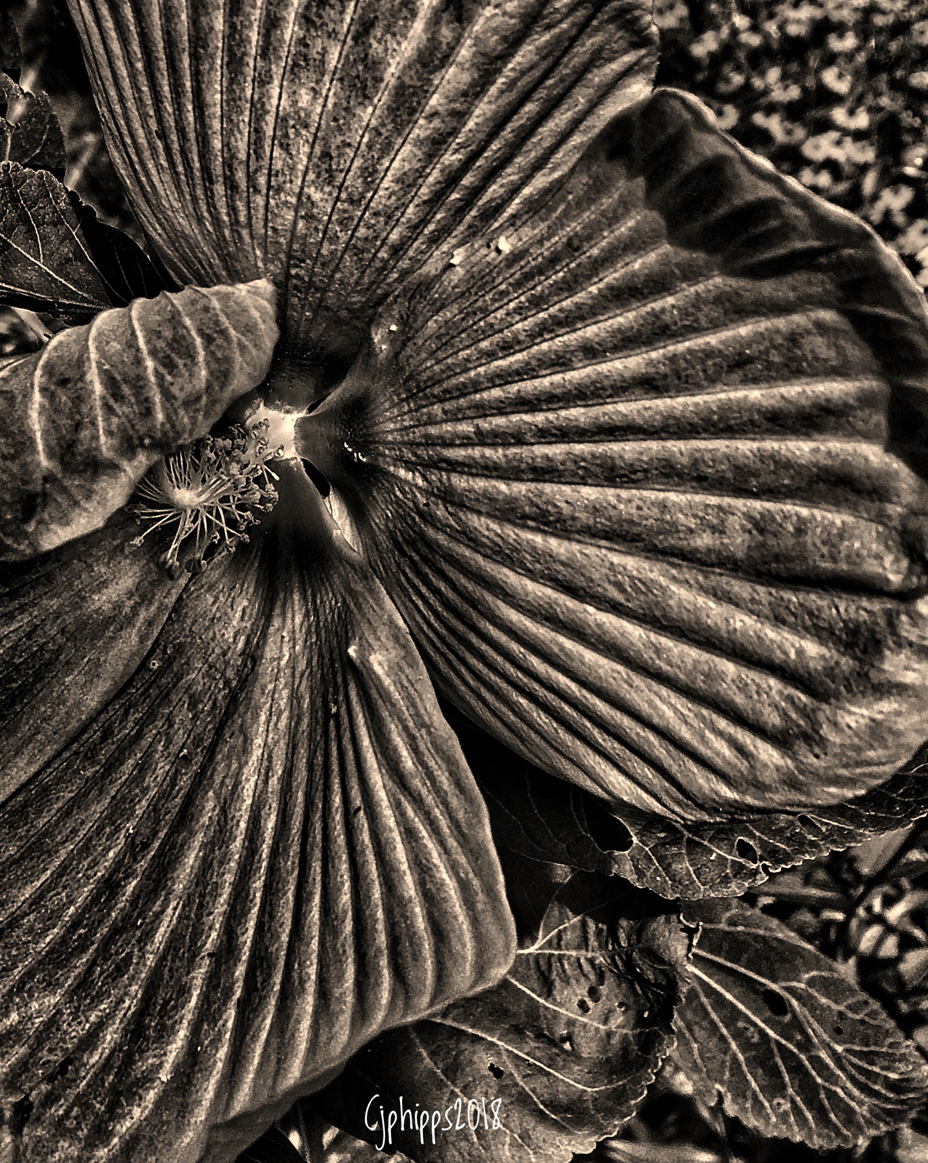 Symmetry 