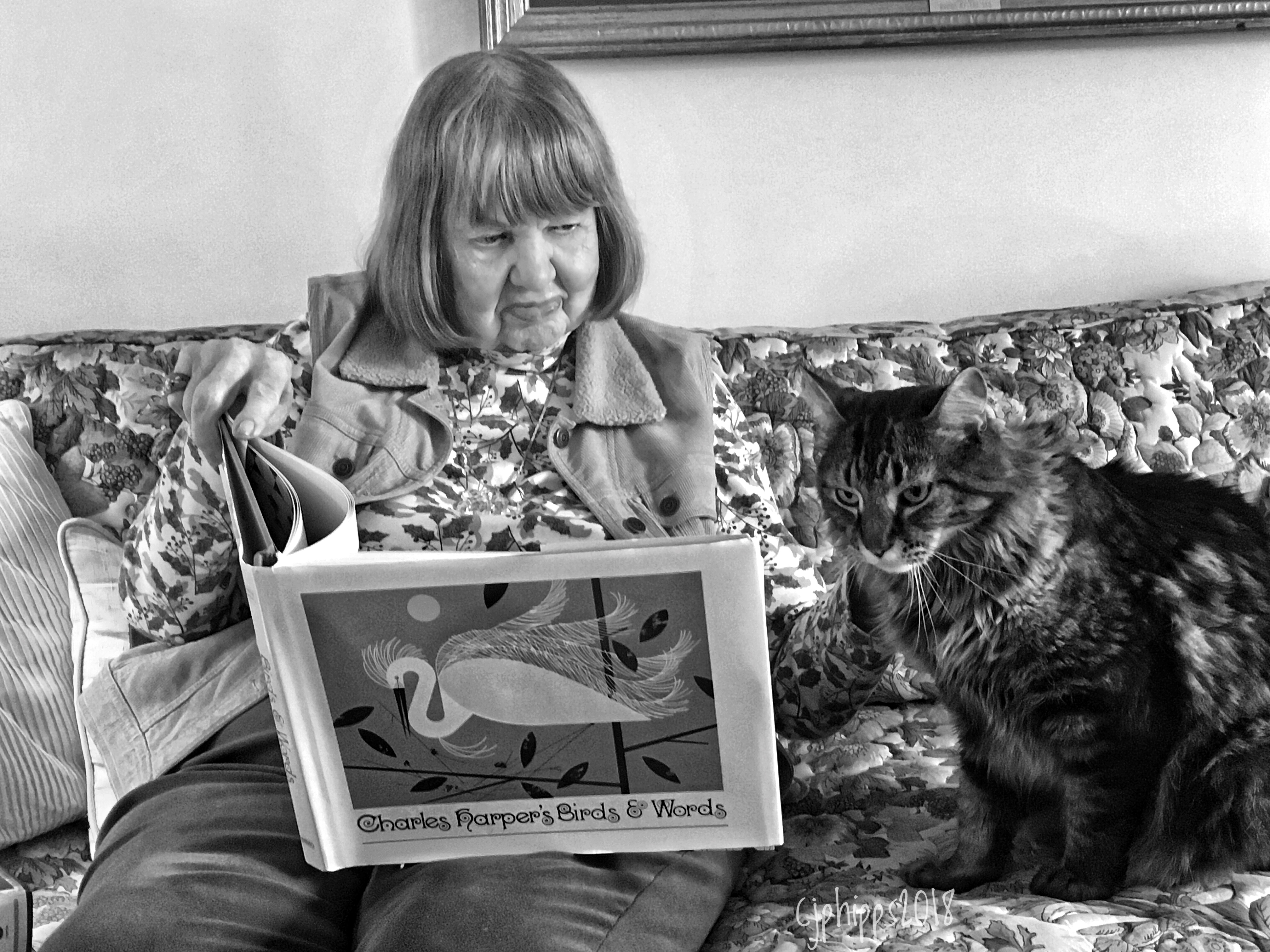 The Joy of Reading