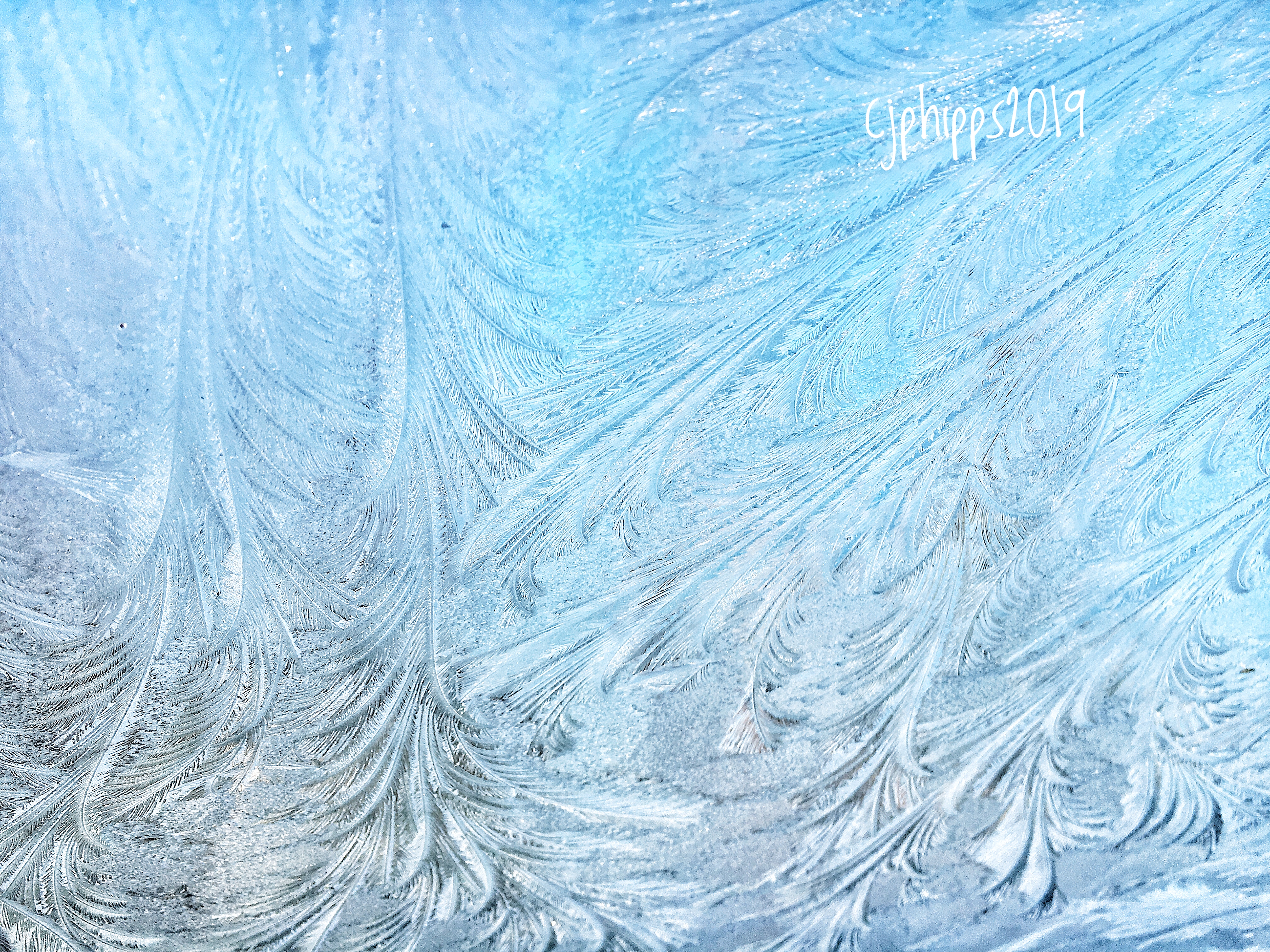 Feathery Frost