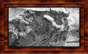 2016-07-08 Poison Spider Dinosaur Tracks