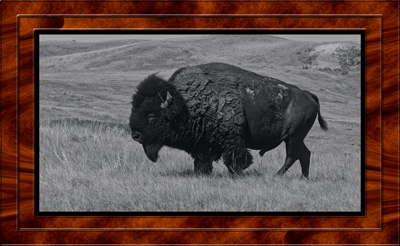 2017-07-07 Badlands SD