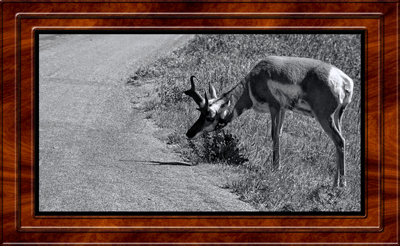2017-07-08 Custer SD