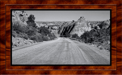 2017-07-16 43 mile Le Sal Forest loop road Moab Utah