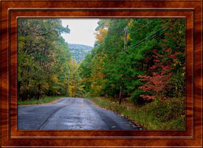 2017 Fall Foliage