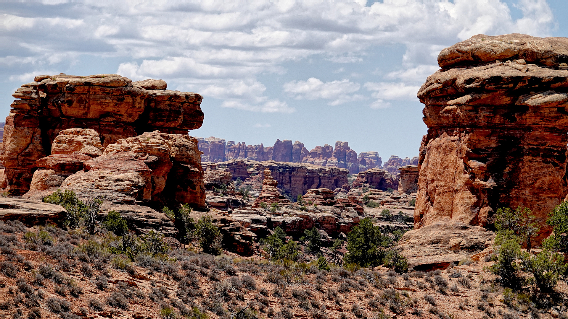 RX10 IV R1000989 Canyonlands Needles_dphdr.jpg