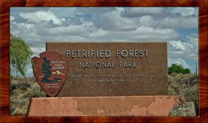 2018 Petrified Forest Arizona