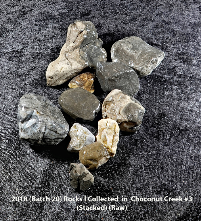 2018 (Batch 20) Rocks I Collected  in  Choconut Creek #3 RX405847 (Stacked) (Raw) (Labeled).jpg