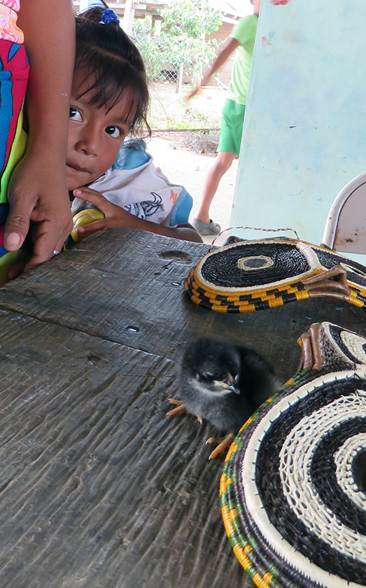 Embera Child peeking at me