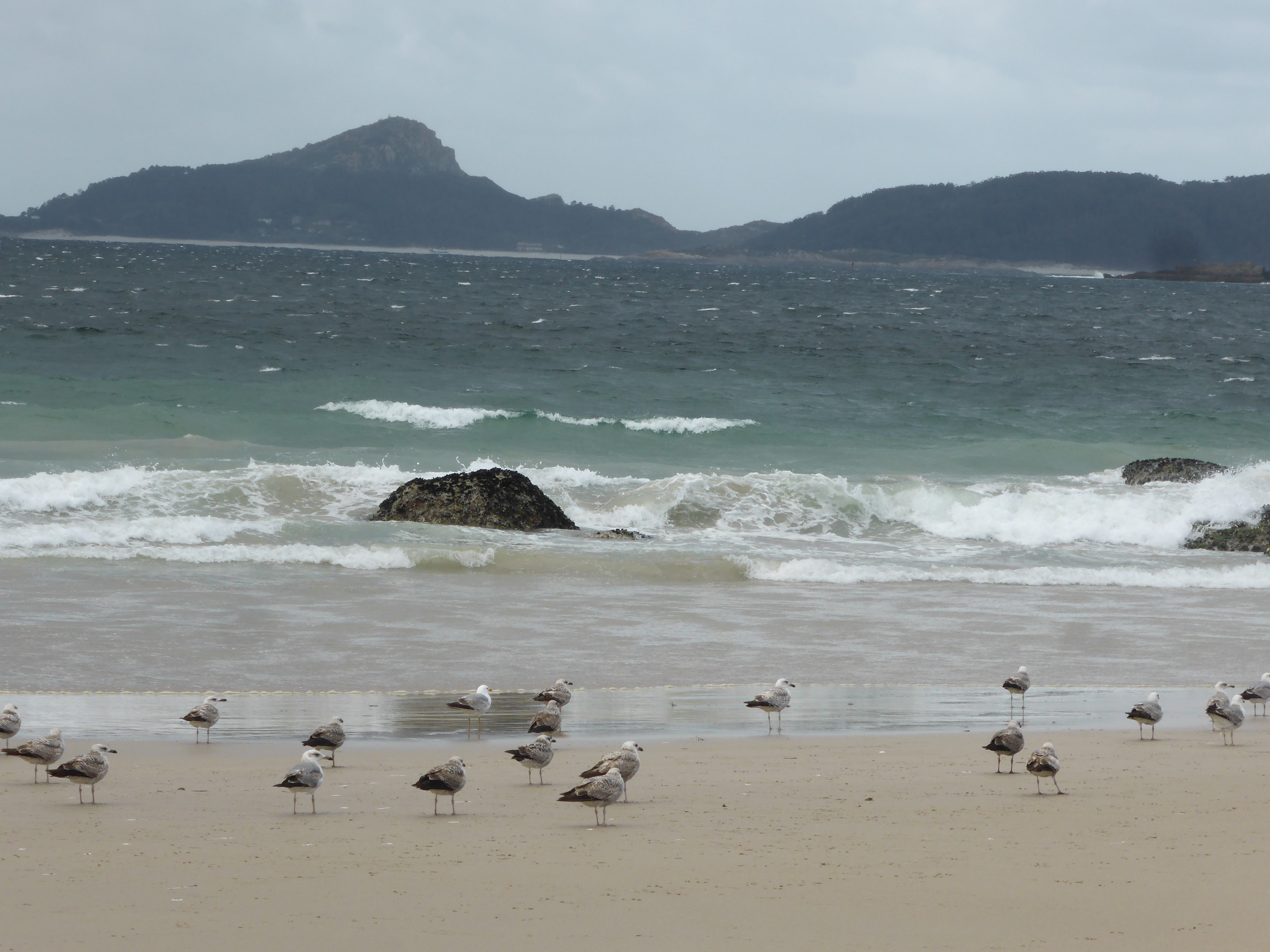 Praia de Nerga1.JPG