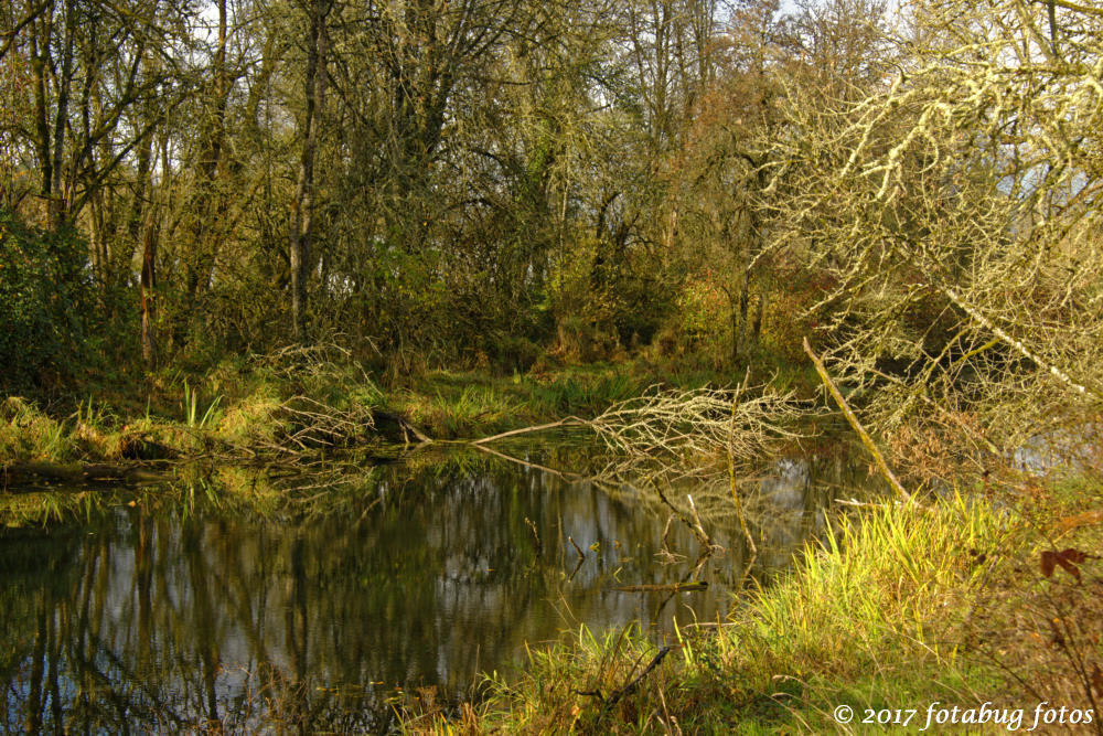 Along Mill Race Path