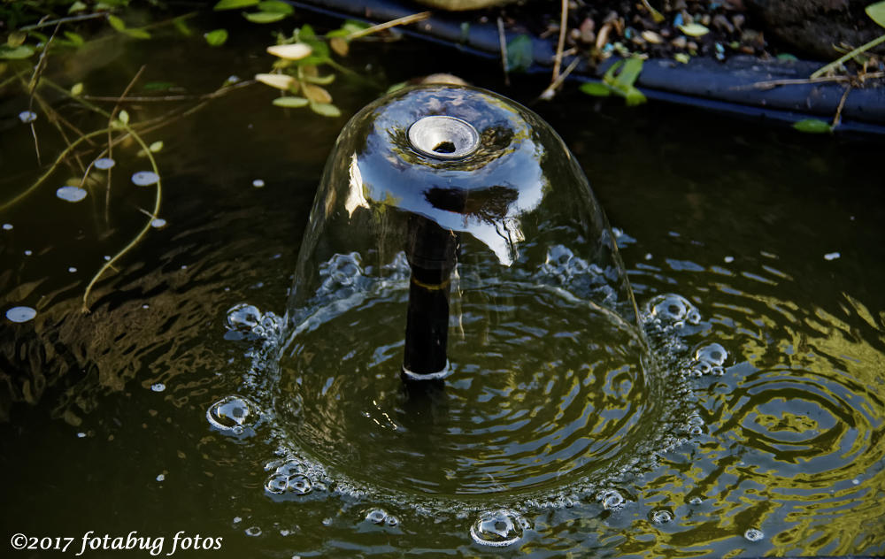 Carols Little Fountain