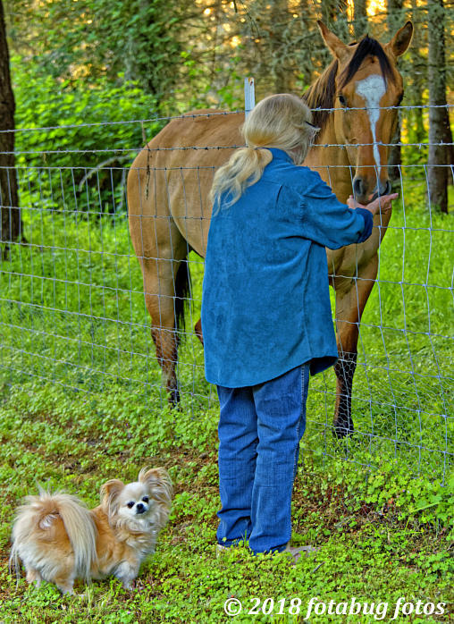 Carol Getting Acquainted With a Neighbor!