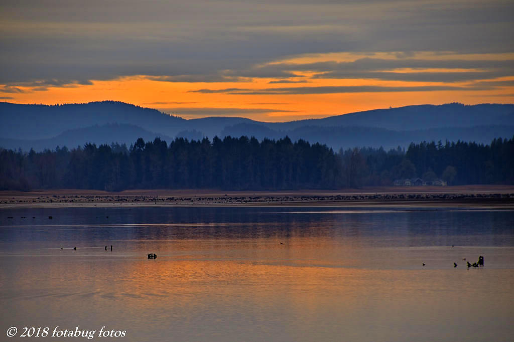 Color on the Lake
