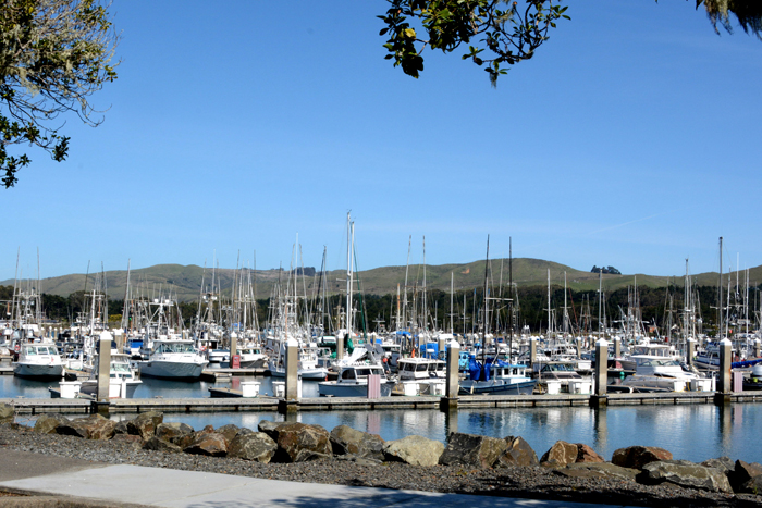 waiting for the weekend in Bodega Bay