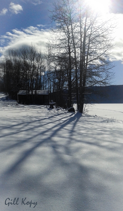 Snow shadows2.jpg