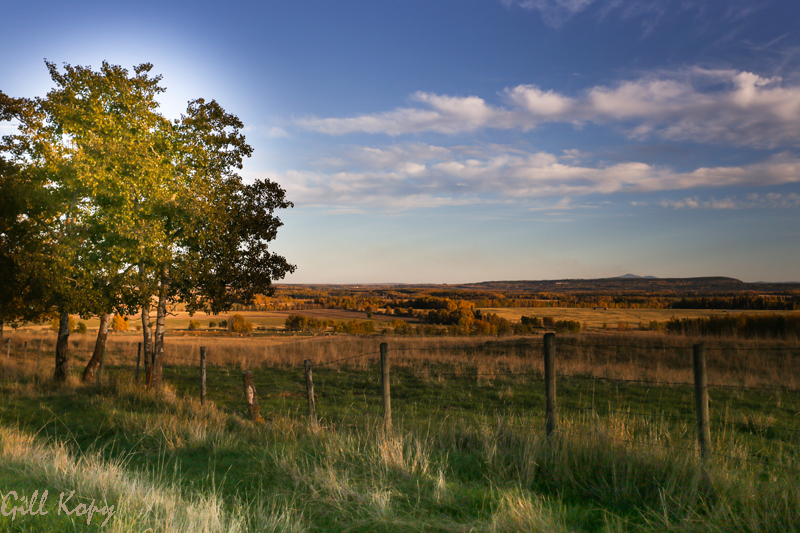 Ft Fraser Farm