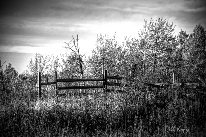 Ft. Fraser Farm BW