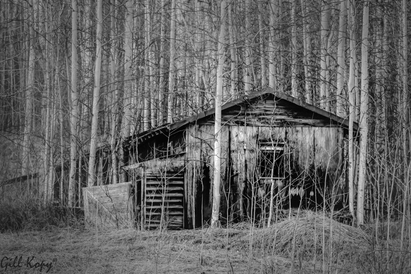 Forgotten_cabin2